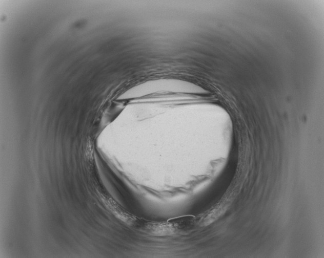 X0000086290384200704271808