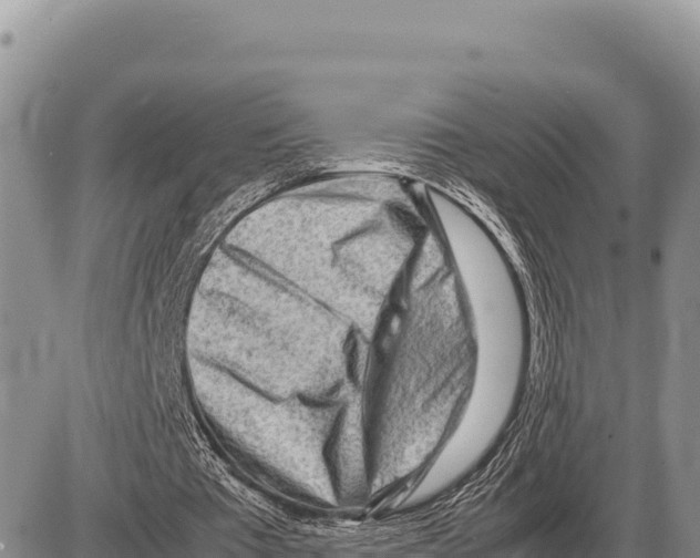 X0000086290385200704271807