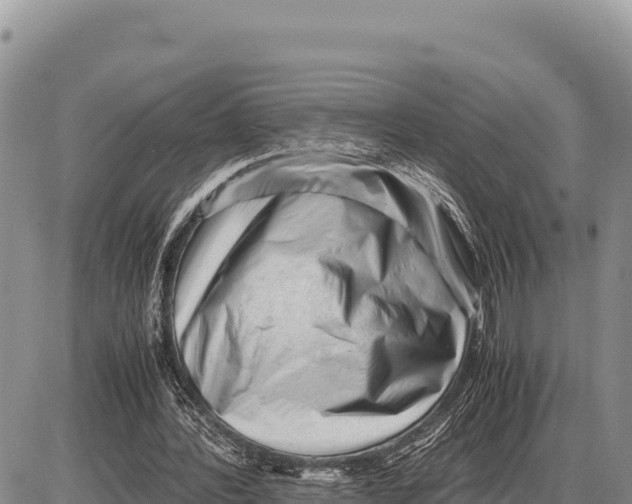 X0000086290388200704271807