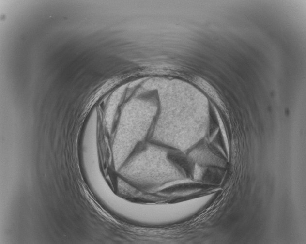 X0000086290389200704271807