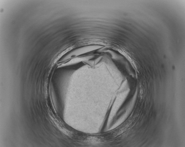 X0000086290390200704271807