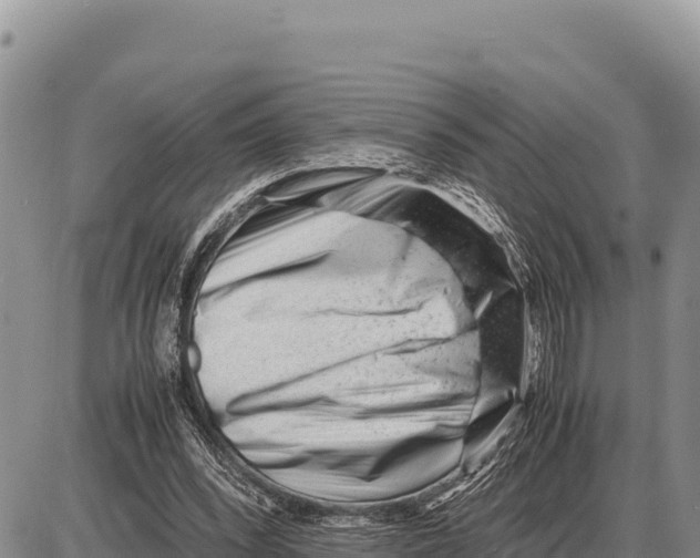 X0000086290392200704271807