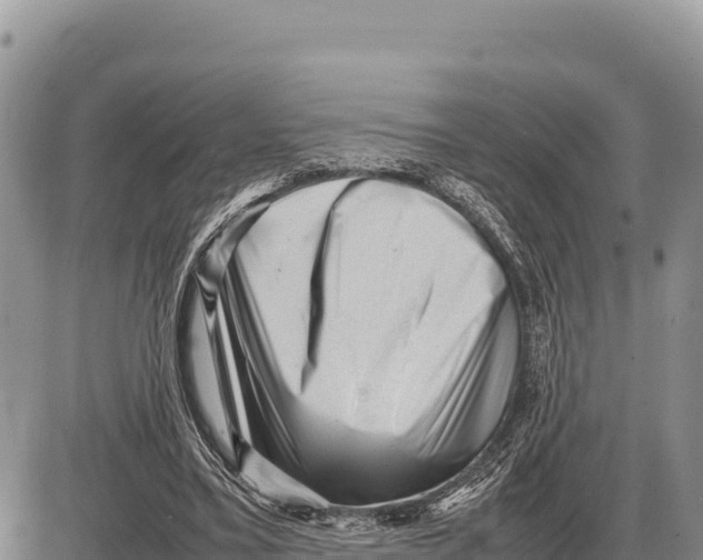 X0000086290395200704271807