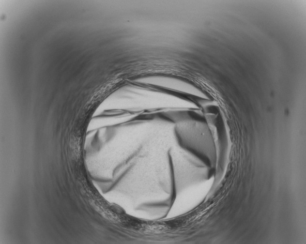 X0000086290401200704271807