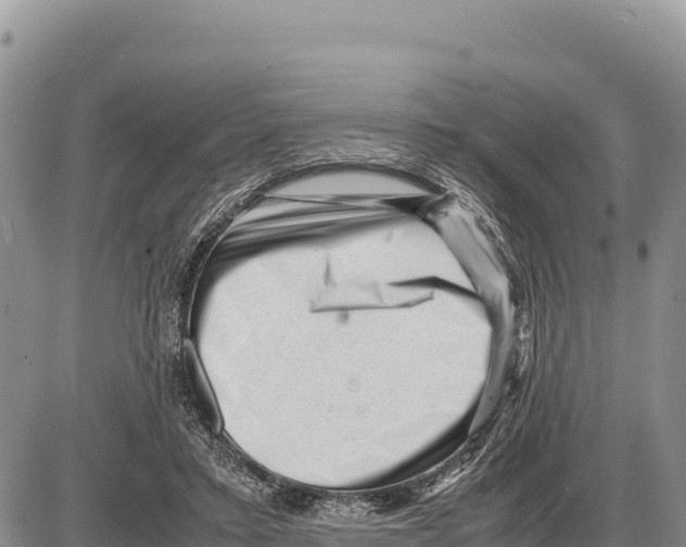 X0000086290403200704271807