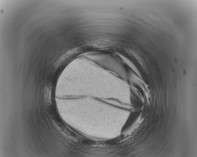 X0000086290404200704271807