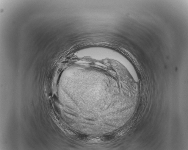 X0000086290405200704271807