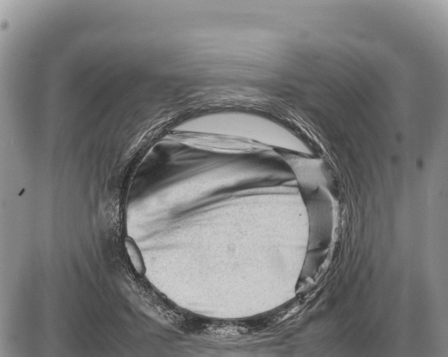X0000086290407200704271807