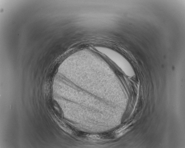 X0000086290409200704271807