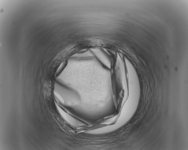 X0000086290413200704271807