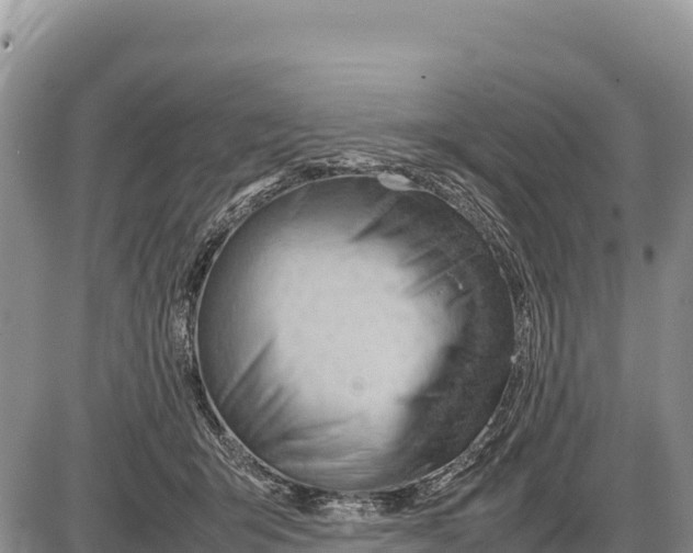 X0000086290415200704271807