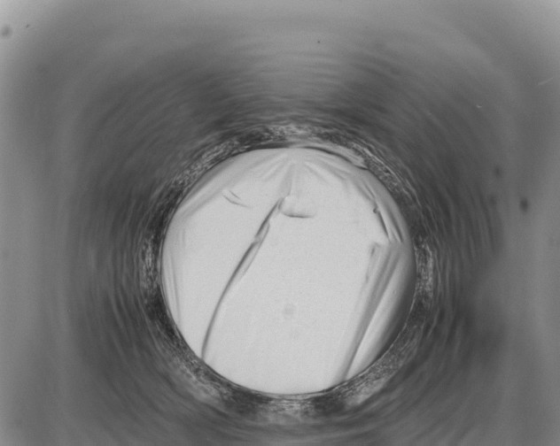 X0000086290418200704271807