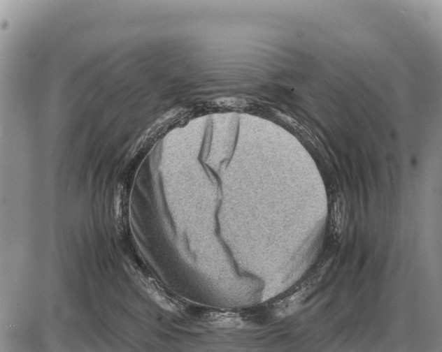 X0000086290424200704271807