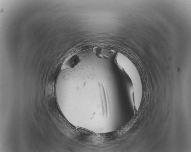 X0000086290425200704271807