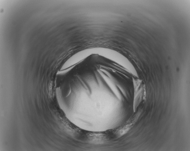 X0000086290428200704271807