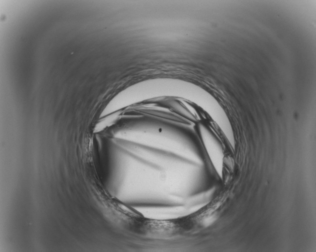 X0000086290429200704271807