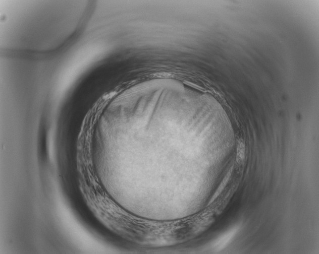 X0000086290431200704271807