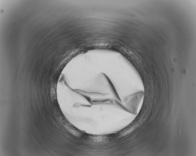 X0000086290432200704271807