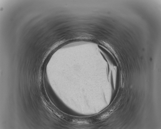 X0000086290435200704271806