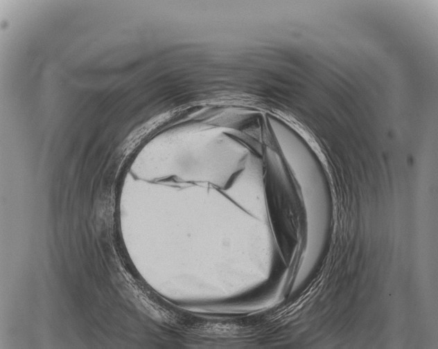 X0000086290437200704271806
