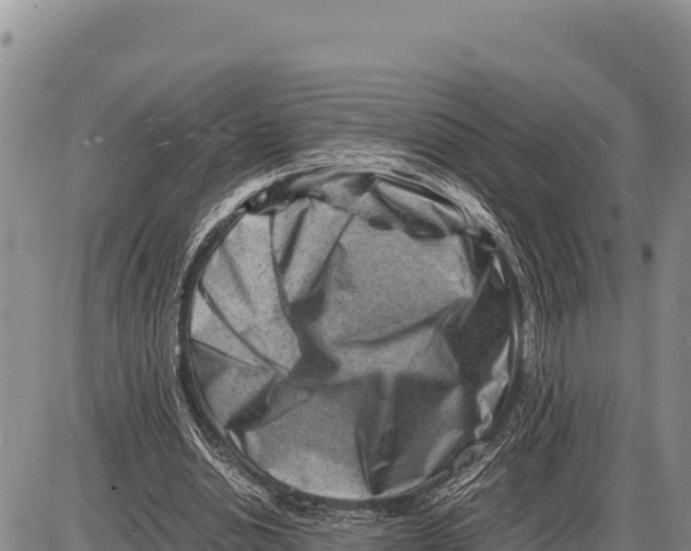 X0000086290438200704271806