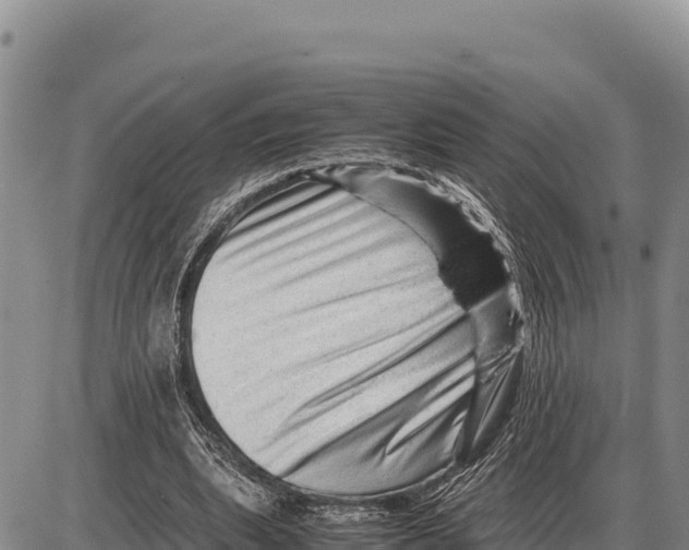 X0000086290439200704271806