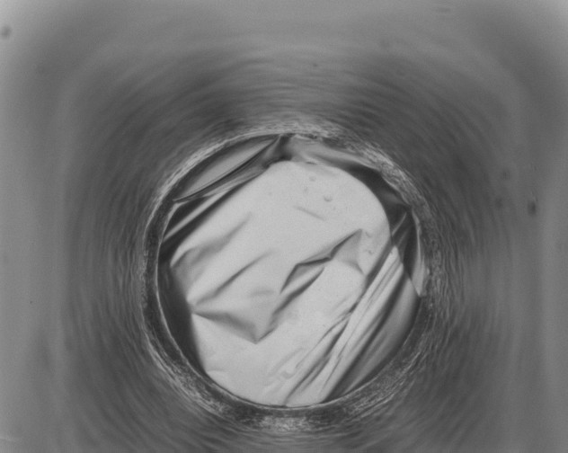 X0000086290440200704271806