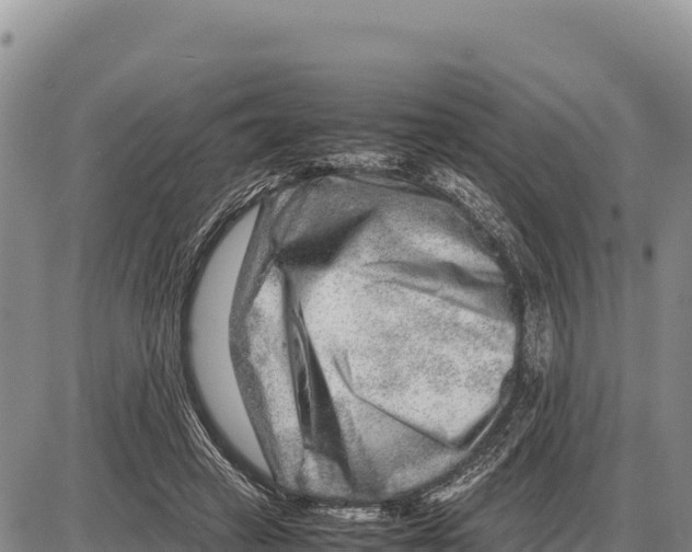 X0000086290449200704271806