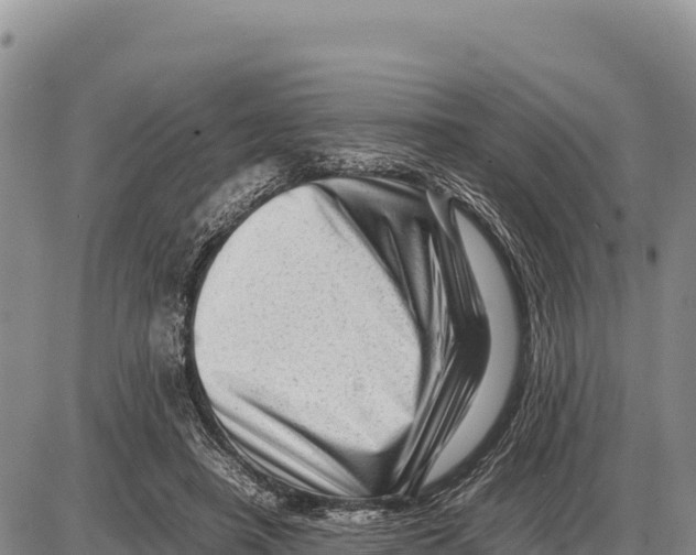 X0000086290450200704271806