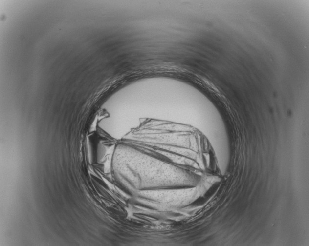 X0000086290452200704271806