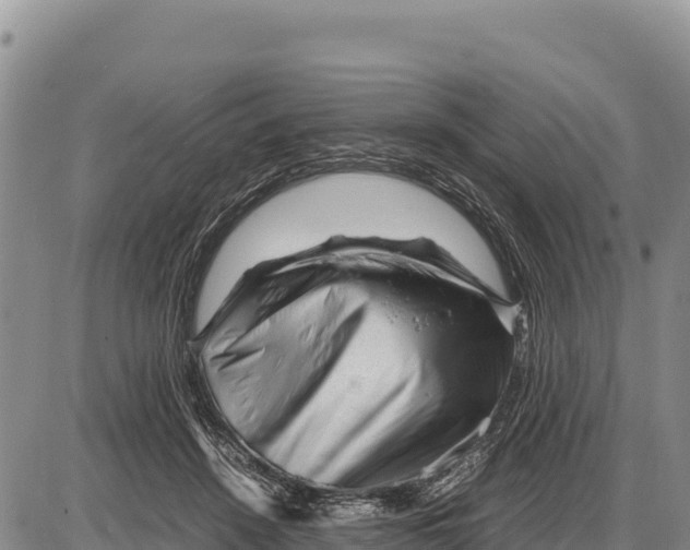 X0000086290456200704271806