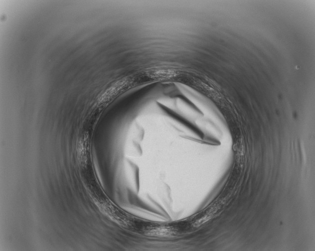 X0000086290460200704271806