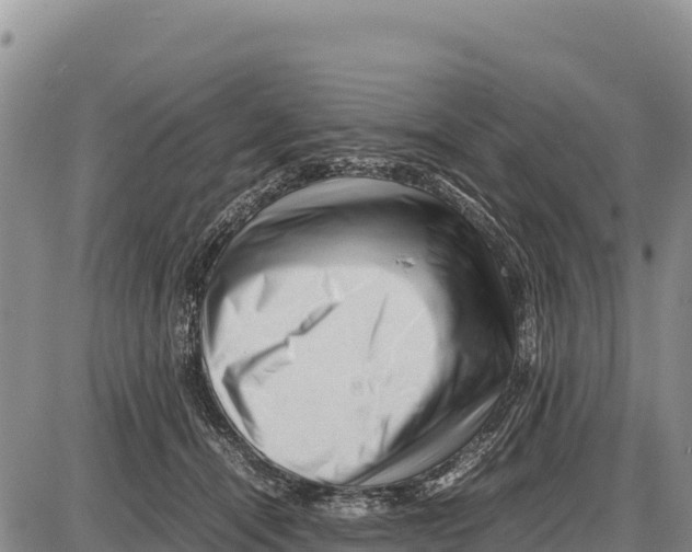 X0000086290464200704271806
