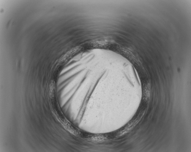 X0000086290468200704271806