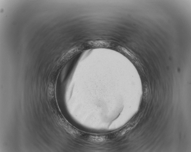 X0000086290469200704271806