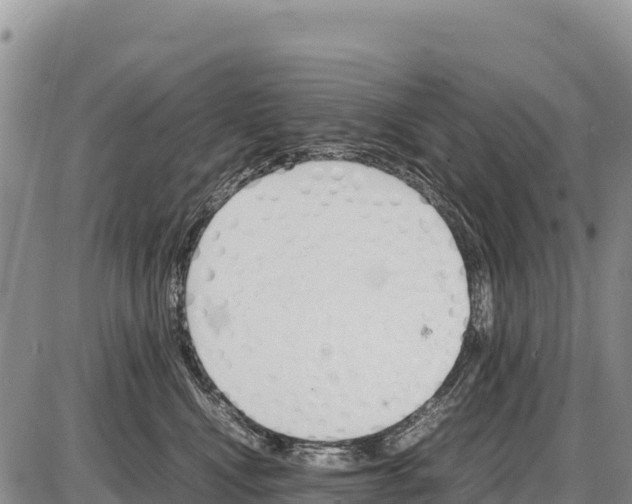 X0000086290472200704271806