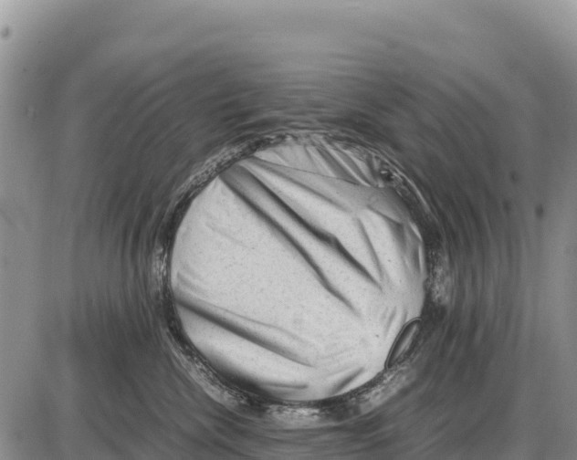 X0000086290476200704271806