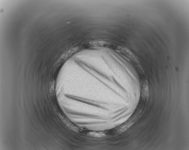X0000086290477200704271806