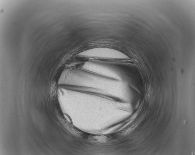 X0000086290478200704271806