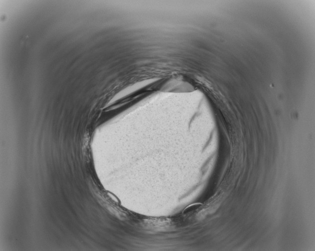 X0000086290480200704271807