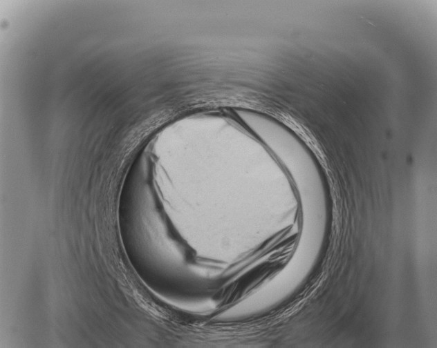 X0000086290481200704271806