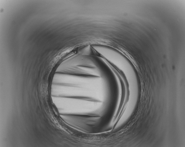 X0000086290485200704271806