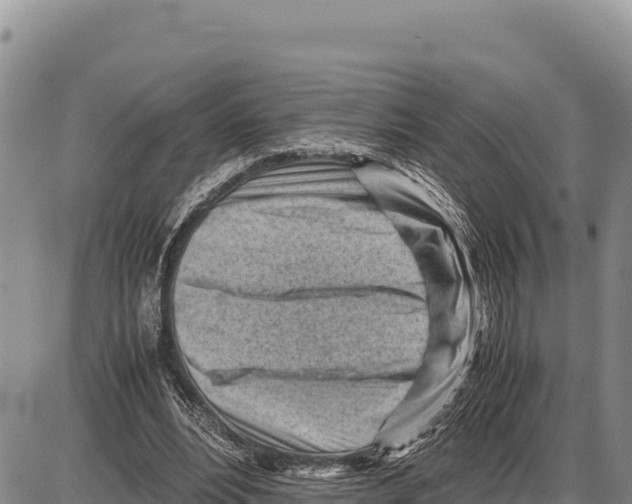 X0000086290488200704271806