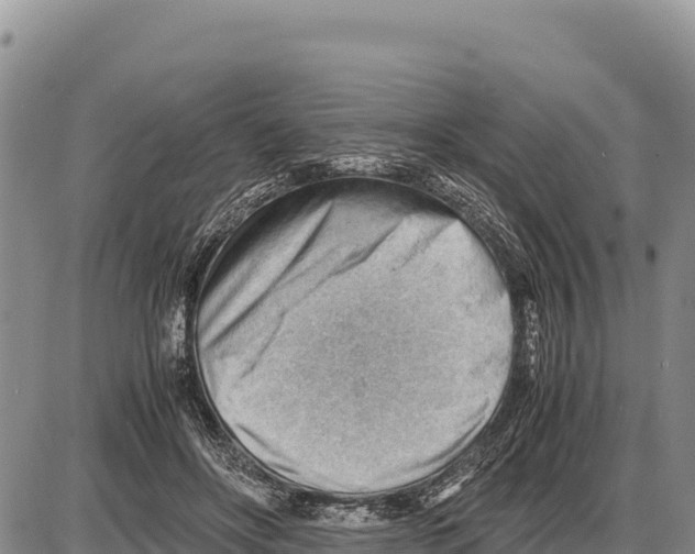 X0000086290502200704271805