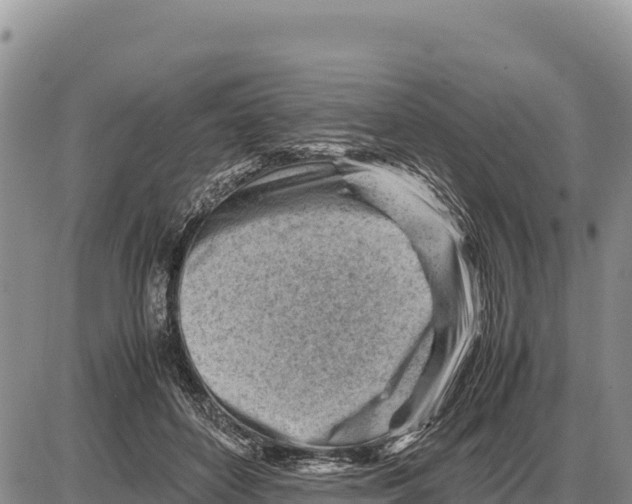 X0000086290504200704271805