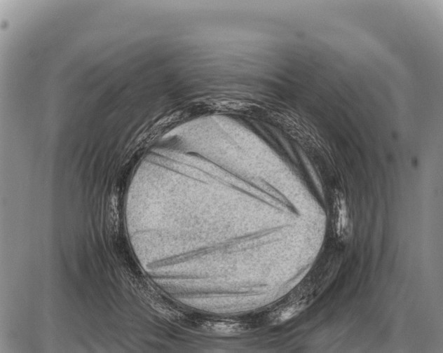X0000086290506200704271805