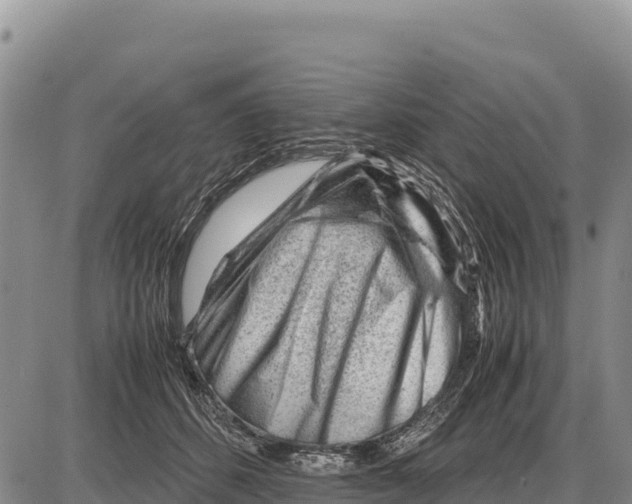 X0000086290512200704271805