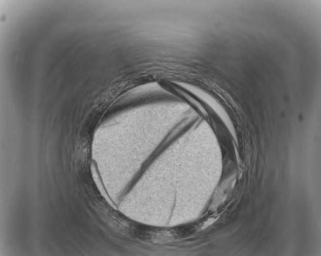 X0000086290513200704271805