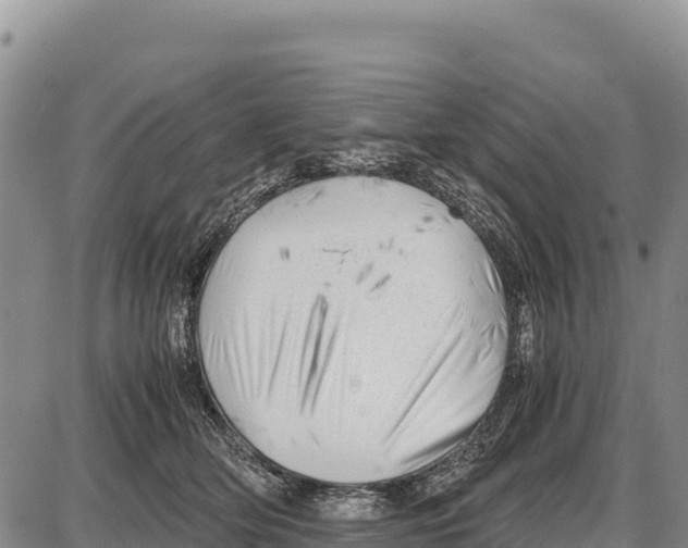 X0000086290514200704271805