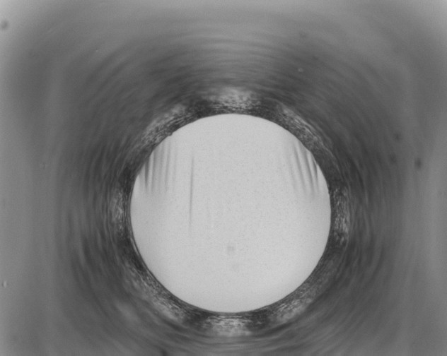 X0000086290518200704271805